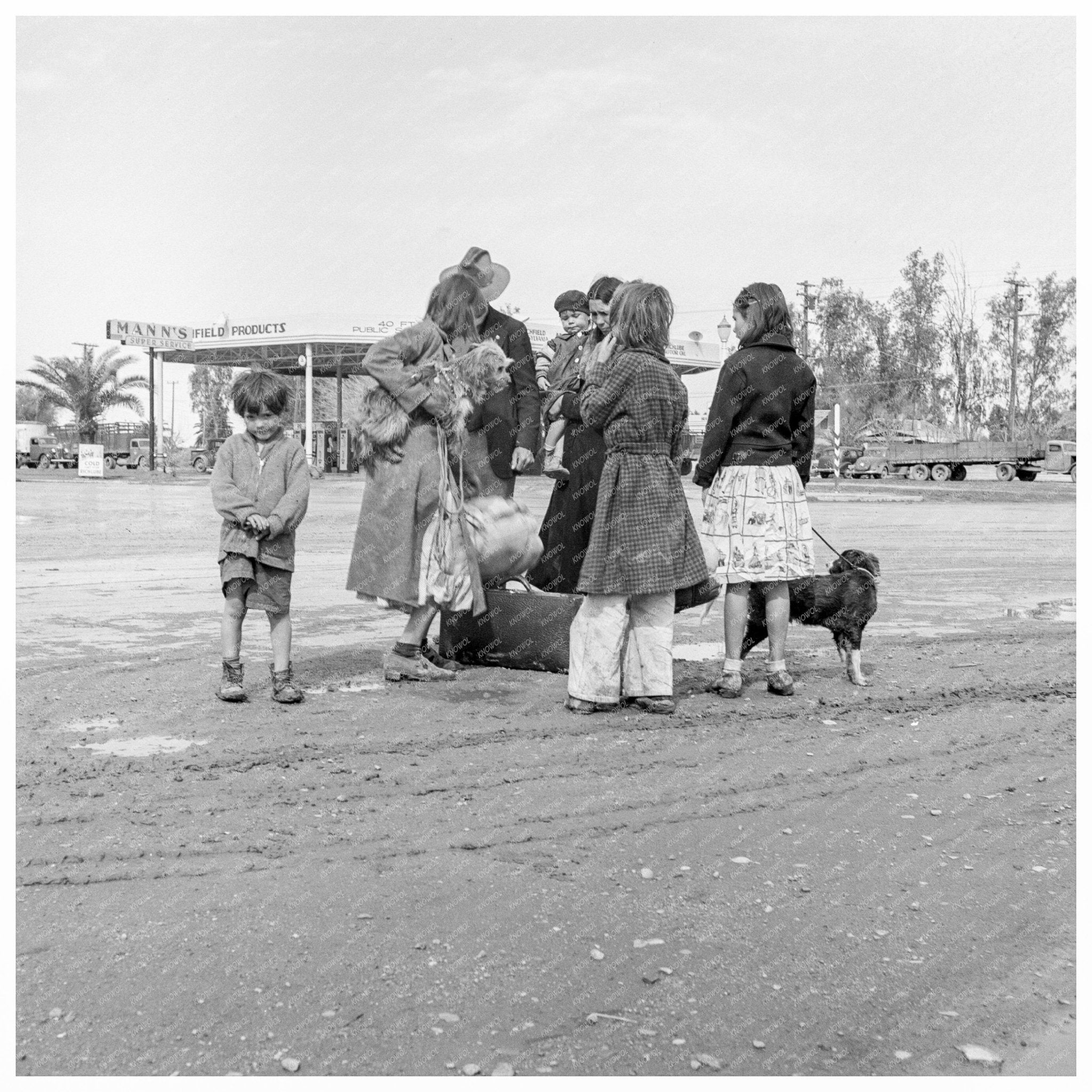 California Migrant Family February 1939 FSA Collection - Available at KNOWOL