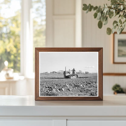 California Potato Field Workers February 1939 - Available at KNOWOL