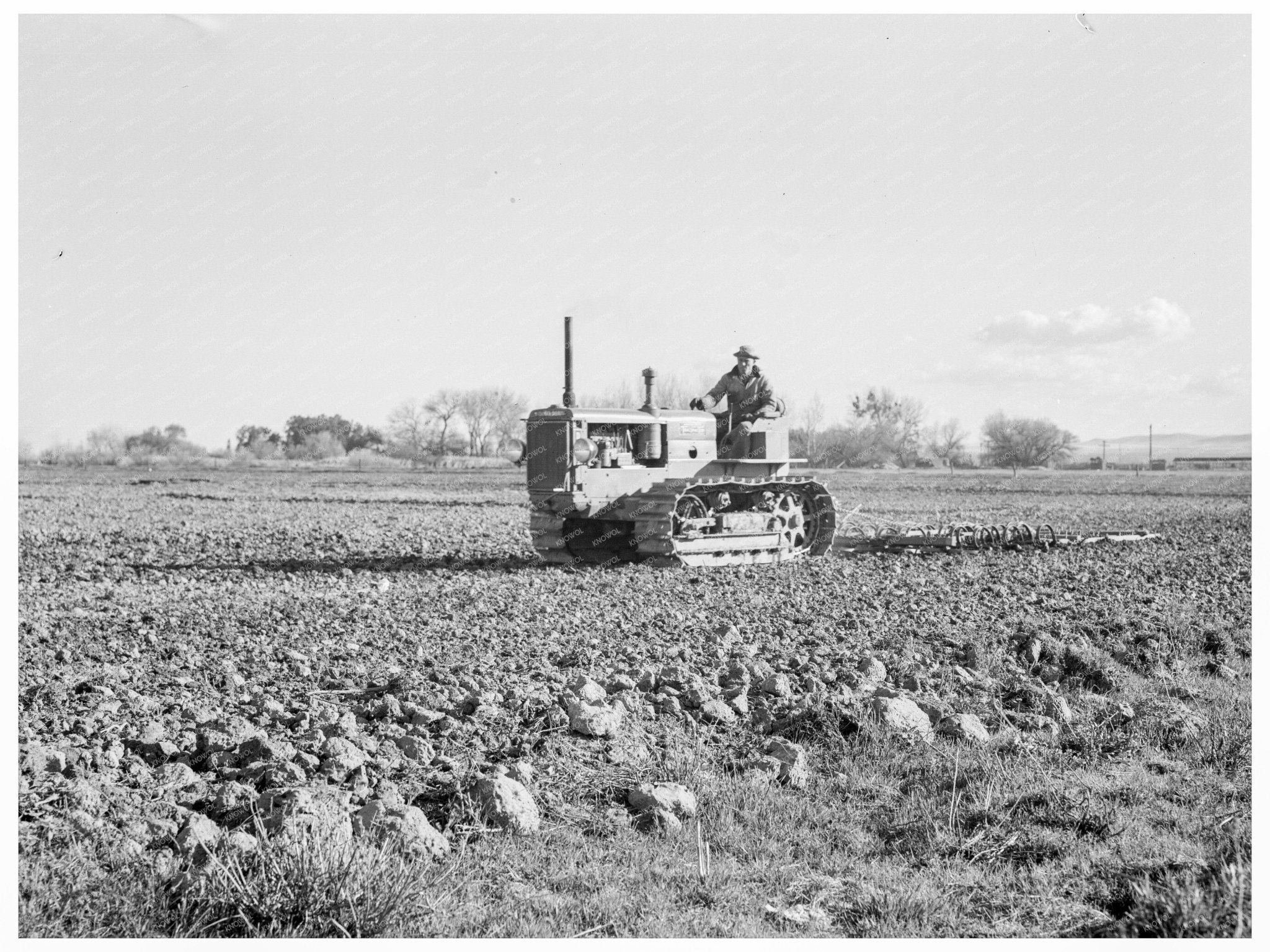 California Potato Field Workers February 1939 - Available at KNOWOL