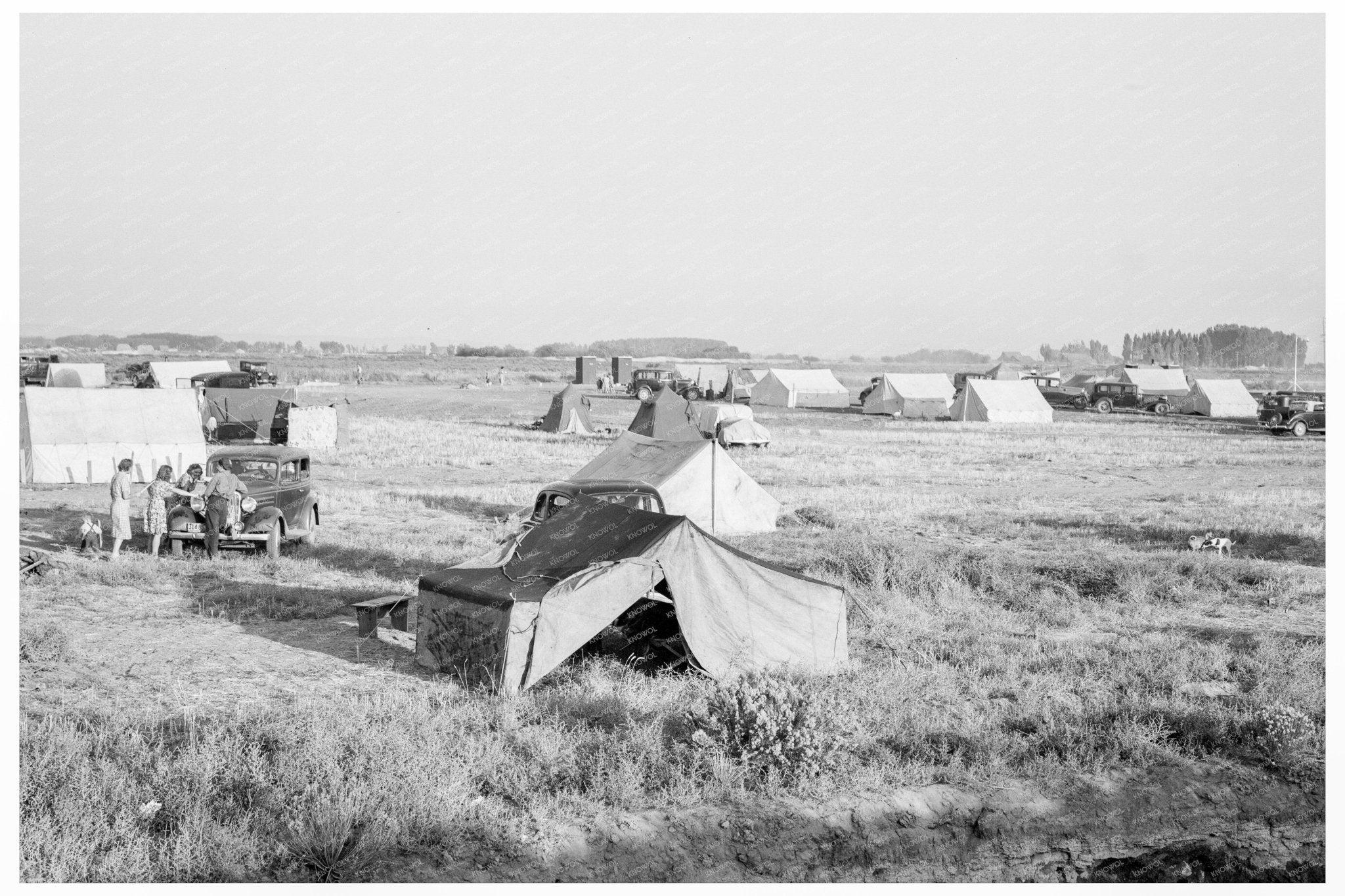 Camping Families in Klamath County Oregon 1939 - Available at KNOWOL