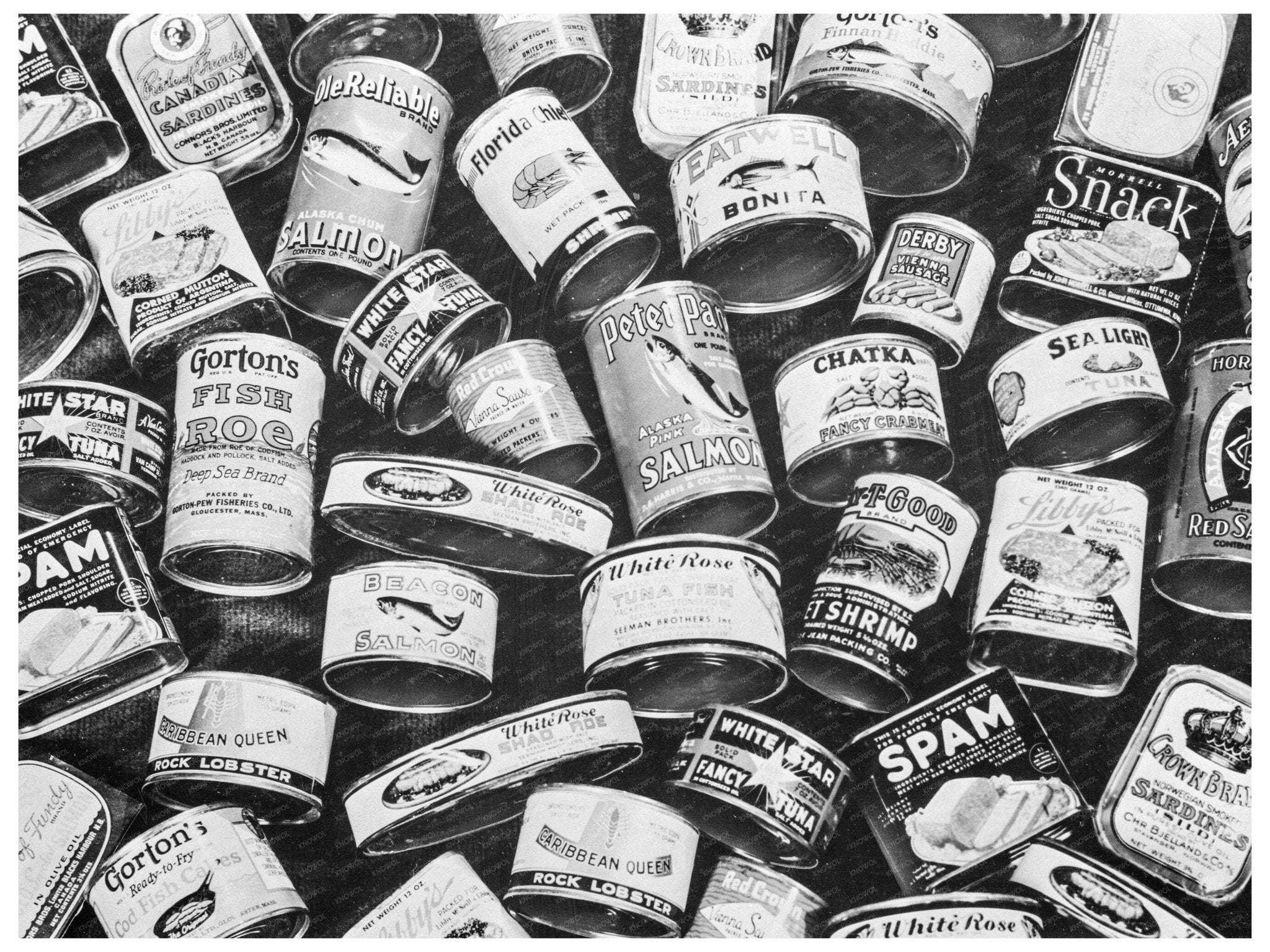 Canned Meats and Fish Rationing March 1943 Image - Available at KNOWOL