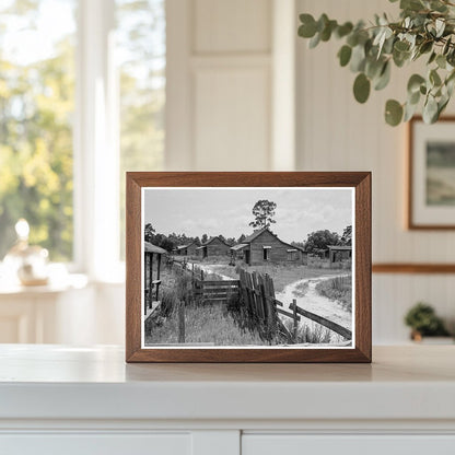 Careyville Florida Ghost Town Vintage Photo July 1937 - Available at KNOWOL