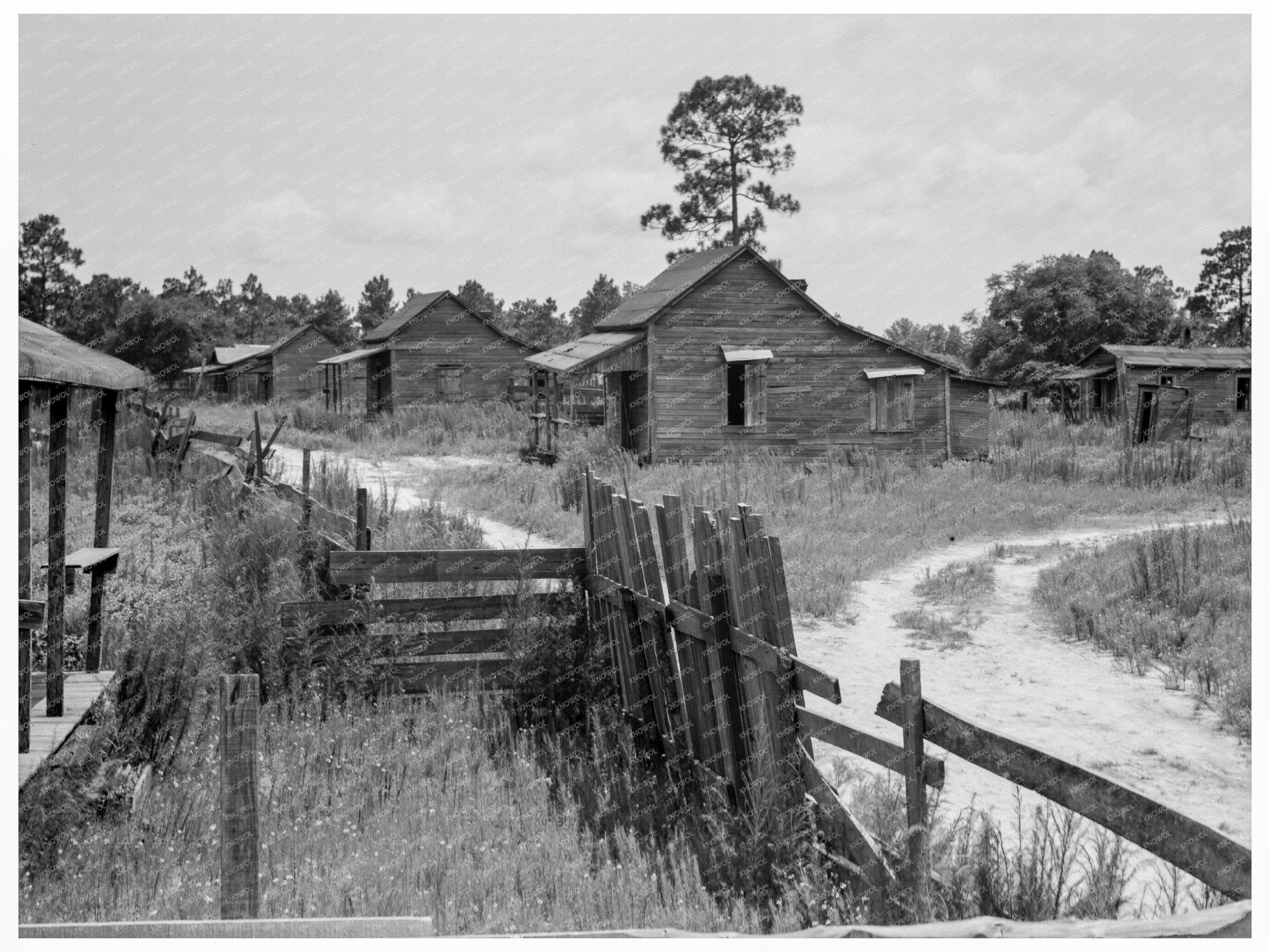 Careyville Florida Ghost Town Vintage Photo July 1937 - Available at KNOWOL
