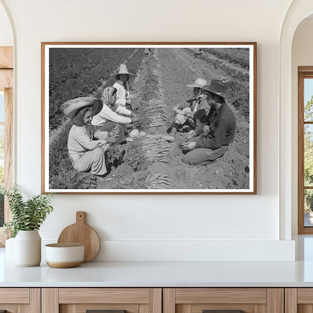 Carrot Harvesting by Workers in Yuma County 1942 - Available at KNOWOL