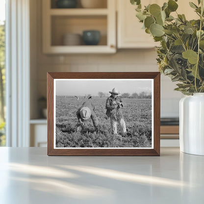 Carrot Harvesting Laborers in Santa Maria Texas 1939 - Available at KNOWOL