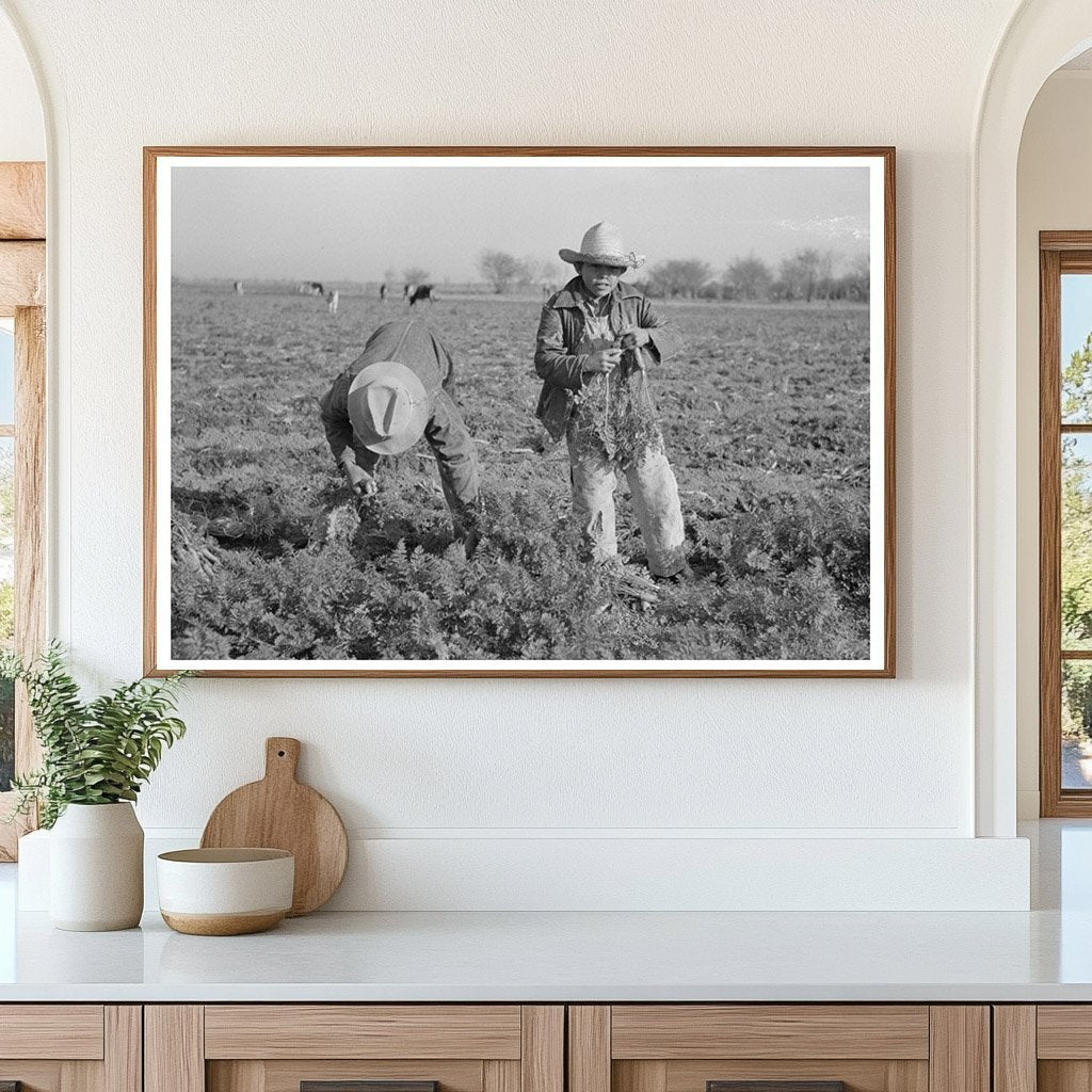 Carrot Harvesting Laborers in Santa Maria Texas 1939 - Available at KNOWOL