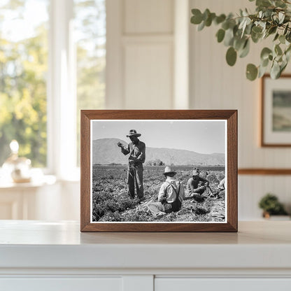 Carrot Pullers in Coachella Valley 1937 - Available at KNOWOL