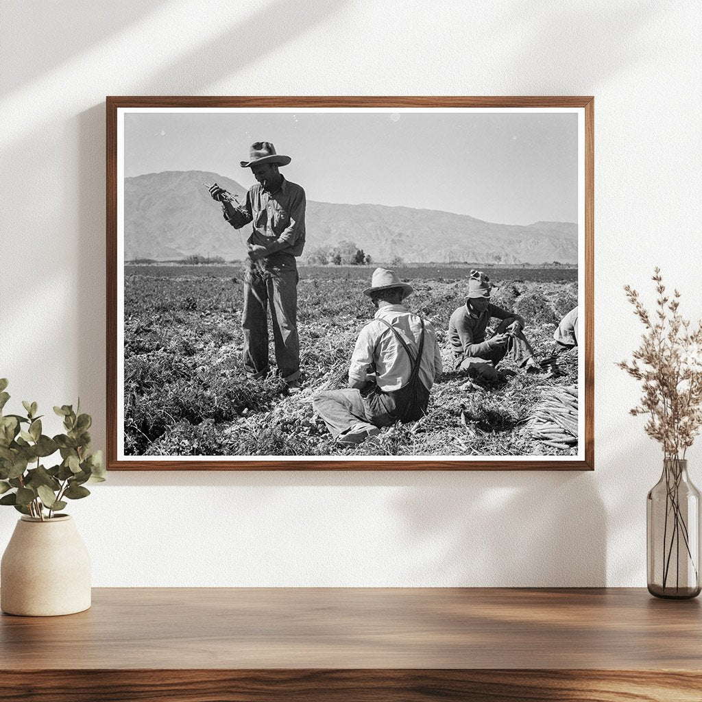 Carrot Pullers in Coachella Valley 1937 - Available at KNOWOL