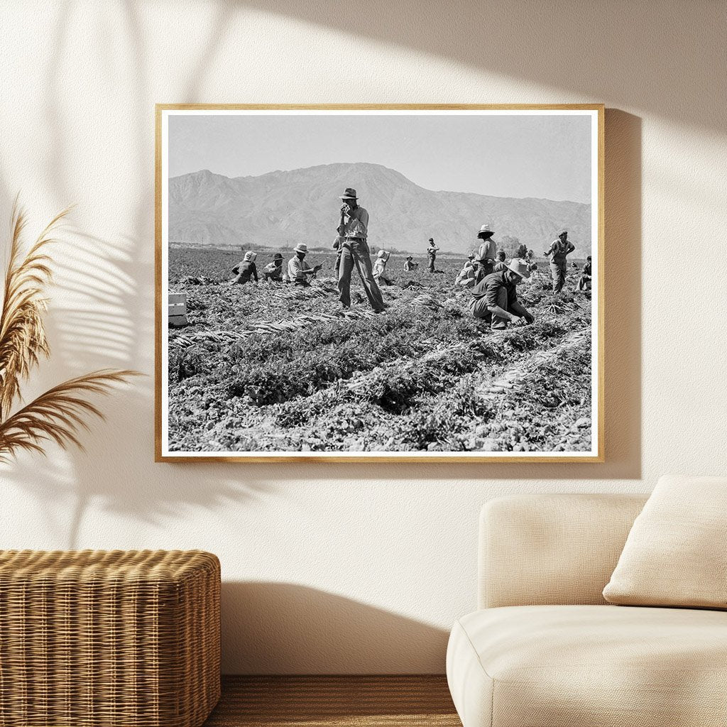 Carrot Pullers in Coachella Valley February 1937 - Available at KNOWOL