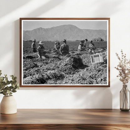 Carrot Pullers in Coachella Valley March 1937 - Available at KNOWOL