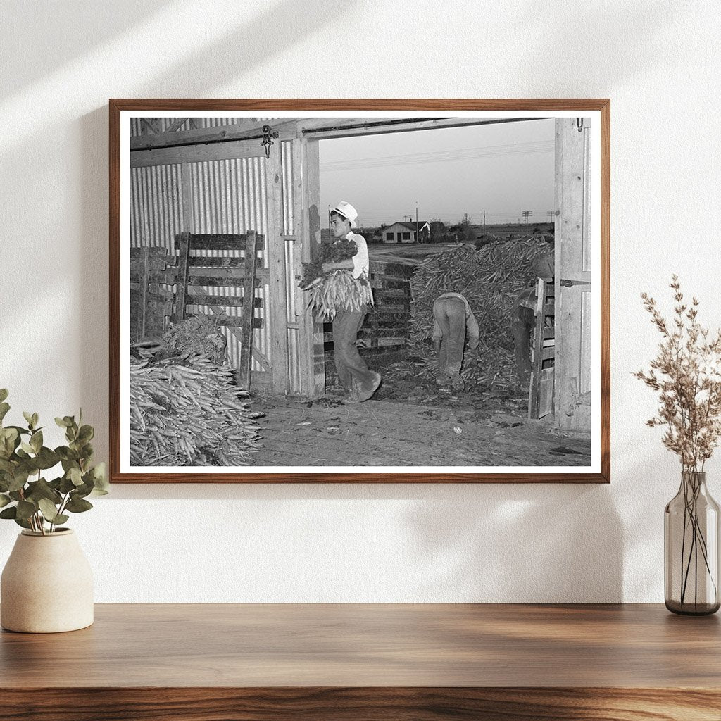 Carrot Unloading in Elsa Texas 1944 - Available at KNOWOL