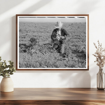 Carrot Workers Tying Bunches in Texas February 1939 - Available at KNOWOL