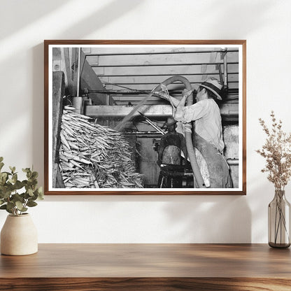 Carrots Being Washed on Truck in Elsa Texas February 1939 - Available at KNOWOL