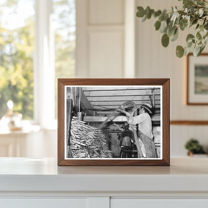 Carrots Being Washed on Truck in Elsa Texas February 1939 - Available at KNOWOL