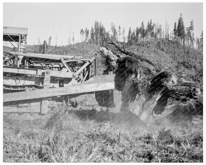 Caterpillar Tractor Clearing Land Lewis County 1939 - Available at KNOWOL