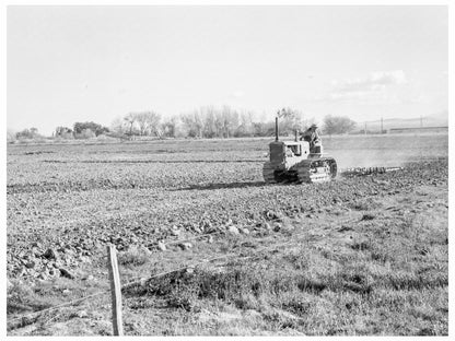 Caterpillar Tractor Cultivating Potatoes California 1939 - Available at KNOWOL