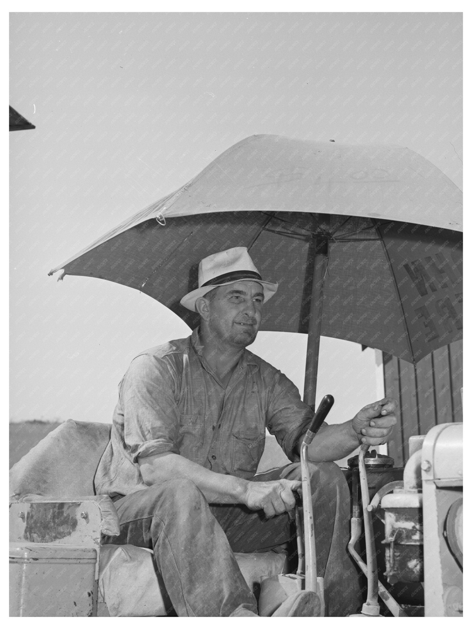 Caterpillar Tractor Driver in Whitman County Wheat Field 1941 - Available at KNOWOL