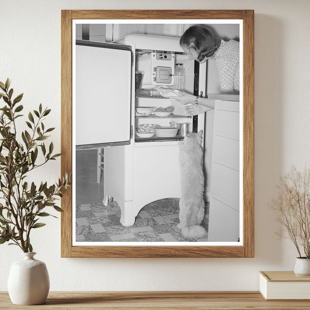 Cats by Refrigerator at Casa Grande Farms 1940 - Available at KNOWOL