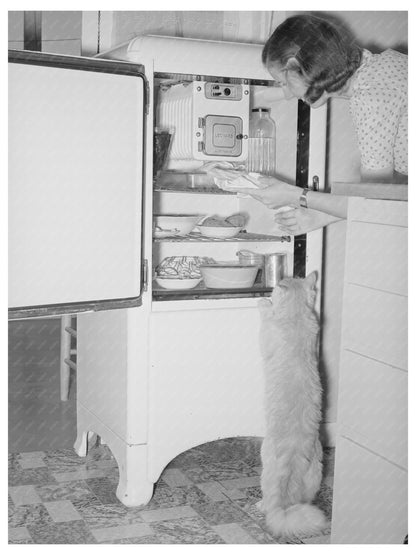 Cats by Refrigerator at Casa Grande Farms 1940 - Available at KNOWOL