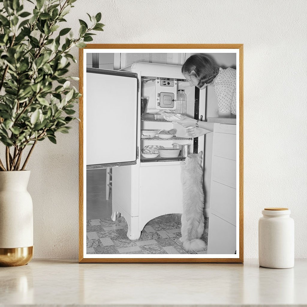 Cats by Refrigerator at Casa Grande Farms 1940 - Available at KNOWOL