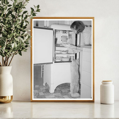 Cats by Refrigerator at Casa Grande Farms 1940 - Available at KNOWOL