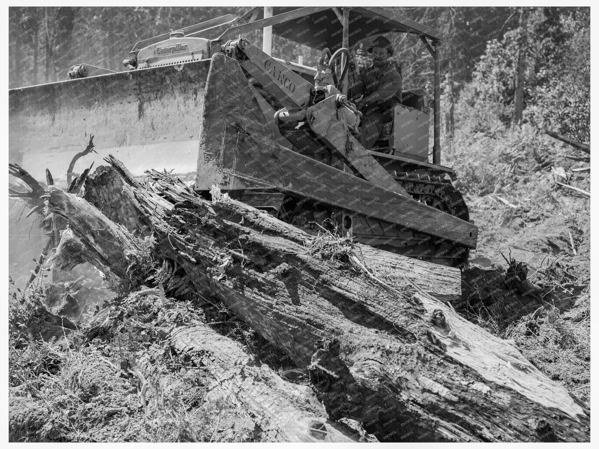 Catskinner Operating Bulldozer in Lewis County 1939 - Available at KNOWOL