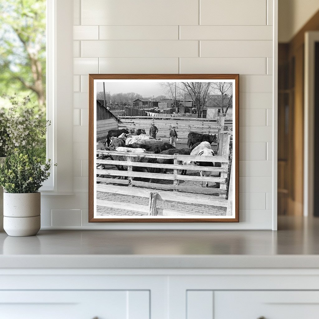 Cattle and Attendants in Aledo Illinois Stockyards 1937 - Available at KNOWOL