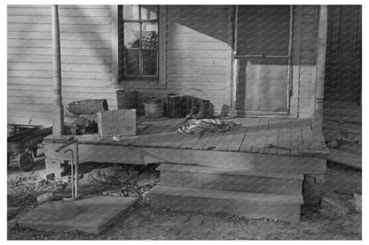 Cattle and Hogs Feeding at Emrick Farm Mercer County 1936 - Available at KNOWOL