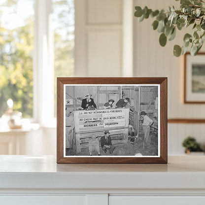 Cattle Auction Barn Scene San Augustine Texas April 1939 - Available at KNOWOL