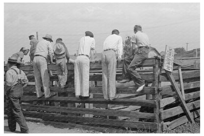 Cattle Auction in Sikeston Missouri May 1938 - Available at KNOWOL