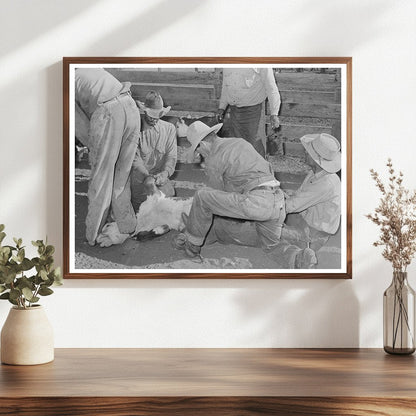 Cattle Branding Scene at Walking X Ranch Marfa 1939 - Available at KNOWOL