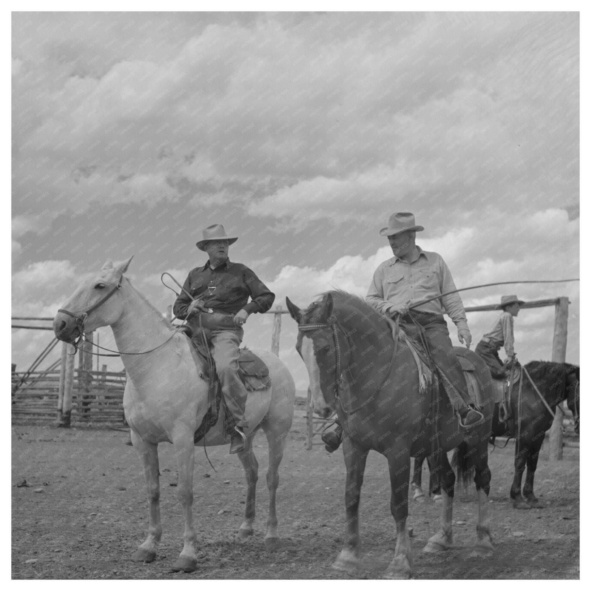 Cattle Buyers Selecting Feeder Cattle Big Hole Valley 1942 - Available at KNOWOL