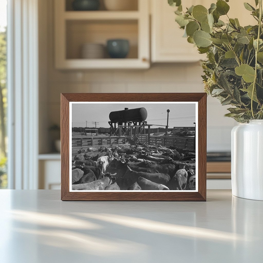 Cattle Corral Feeding in Brawley California March 1942 - Available at KNOWOL