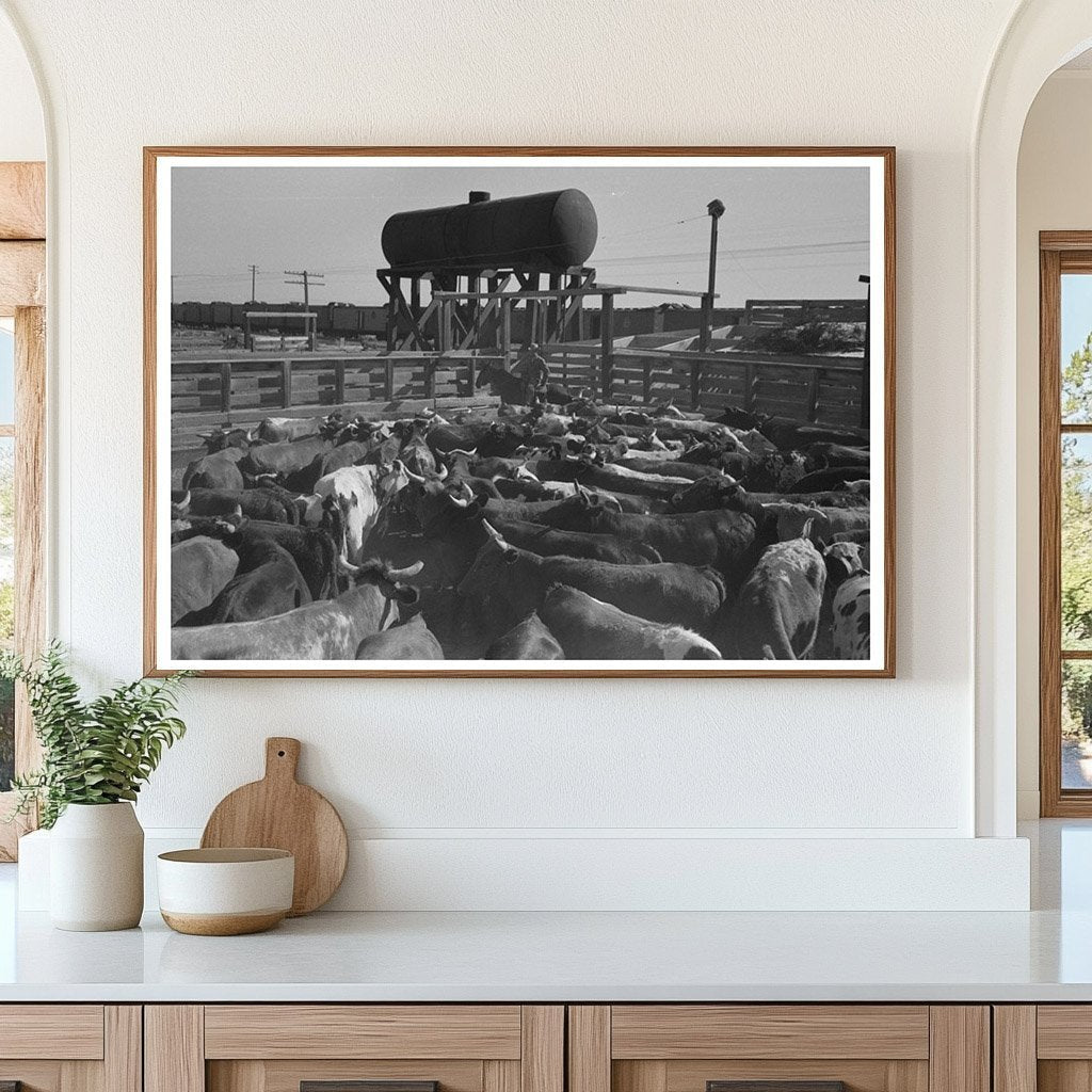 Cattle Corral Feeding in Brawley California March 1942 - Available at KNOWOL