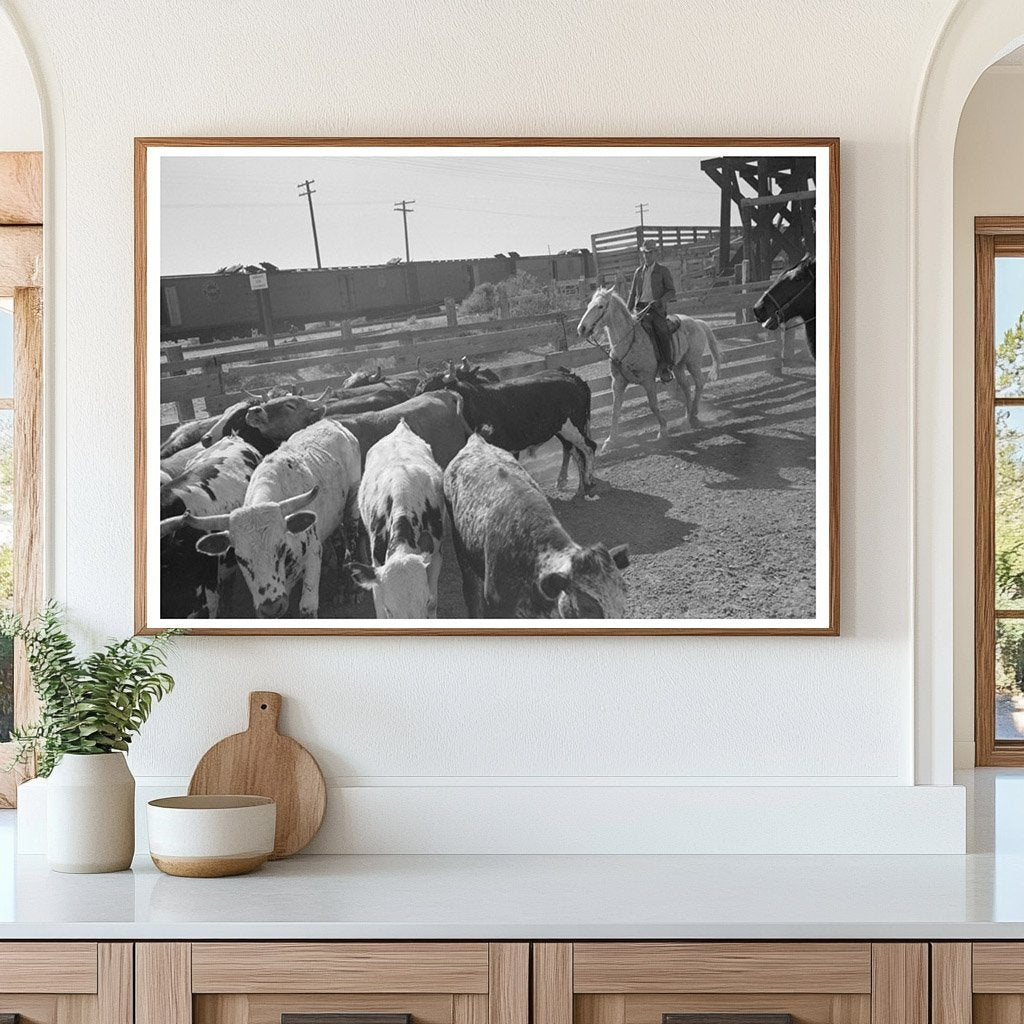 Cattle Drive Process Brawley California March 1942 - Available at KNOWOL