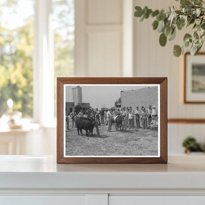 Cattle Judging Event at 4 - H Fair Kansas 1939 - Available at KNOWOL