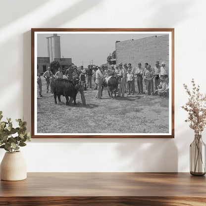 Cattle Judging Event at 4 - H Fair Kansas 1939 - Available at KNOWOL