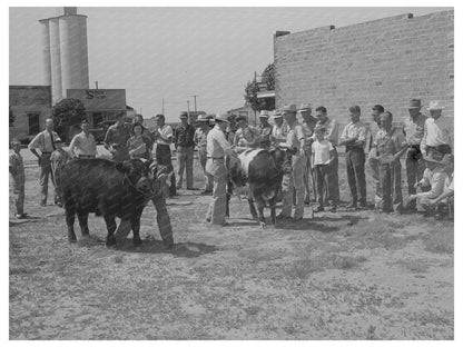 Cattle Judging Event at 4 - H Fair Kansas 1939 - Available at KNOWOL