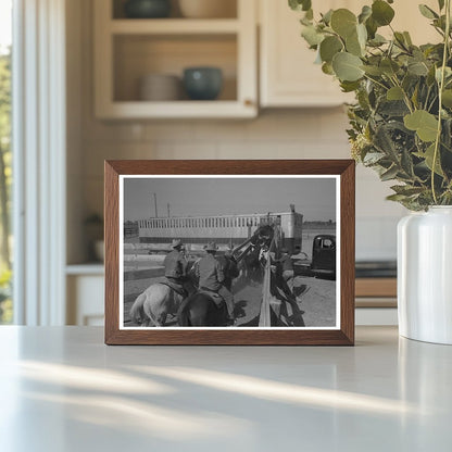 Cattle Loading for Shipment in Brawley California 1942 - Available at KNOWOL