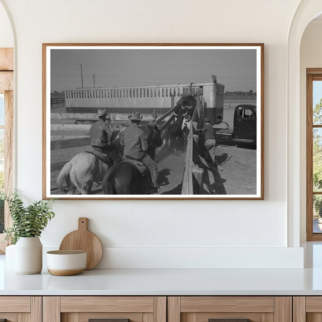 Cattle Loading for Shipment in Brawley California 1942 - Available at KNOWOL