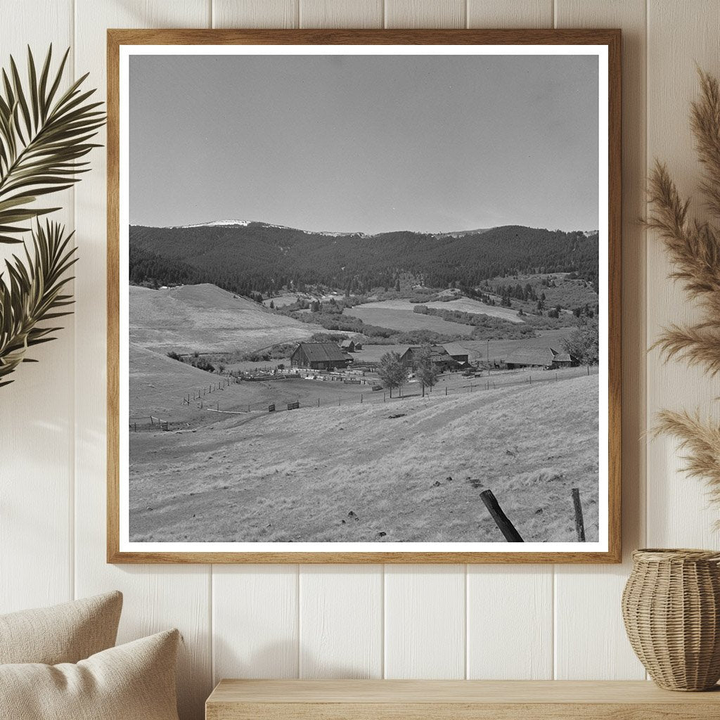 Cattle Ranch in Park County Montana September 1942 - Available at KNOWOL