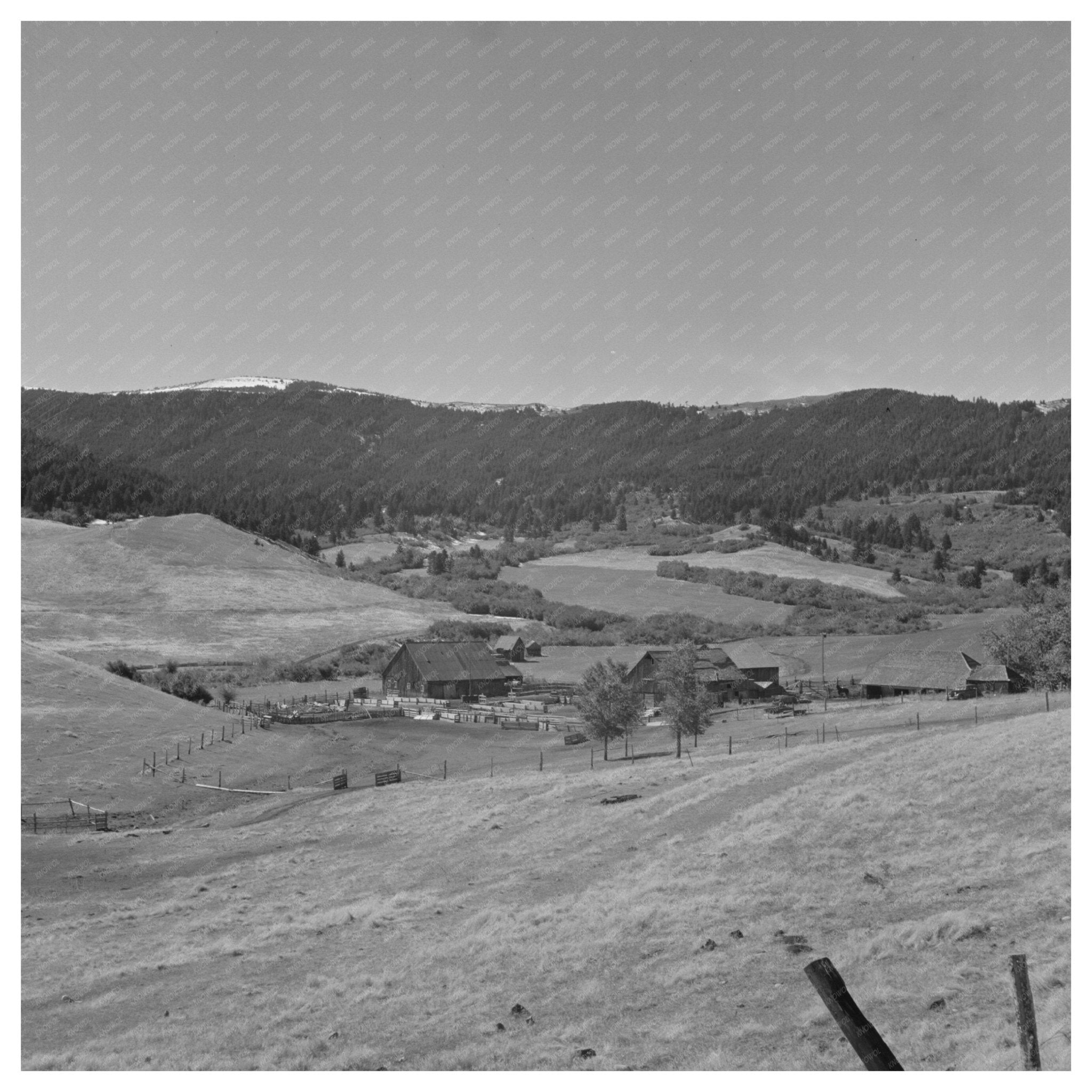 Cattle Ranch in Park County Montana September 1942 - Available at KNOWOL