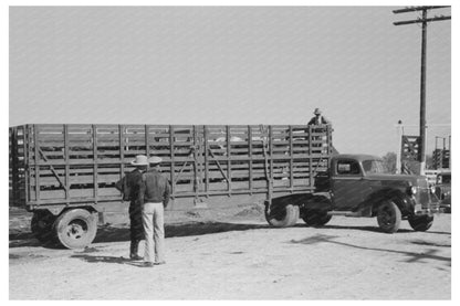 Cattle Trailer at San Angelo Stockyards November 1939 - Available at KNOWOL