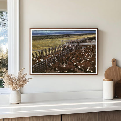 Cattle Weighing in Beaverhead County Montana 1942 - Available at KNOWOL