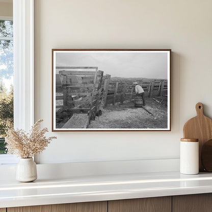 Cattle with Hoof Rot Treated at Cruzen Ranch Idaho 1941 - Available at KNOWOL