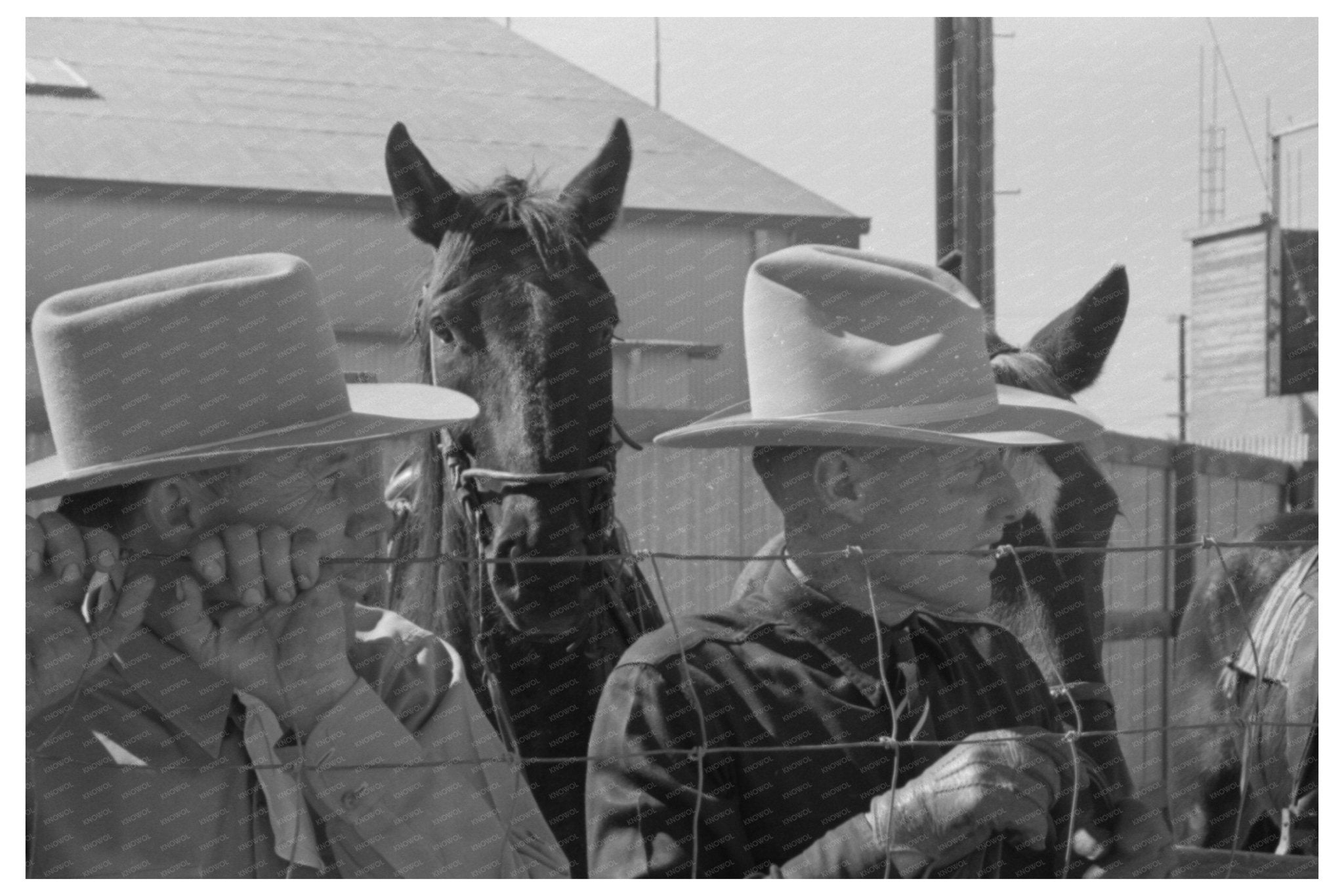 Cattlemen at Imperial County Fair March 1942 - Available at KNOWOL