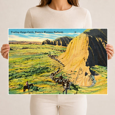 MT: Trailing Range Cattle, Eastern Montana Badlands