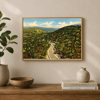 Road winding through mountains — Vintage Maryland Postcard