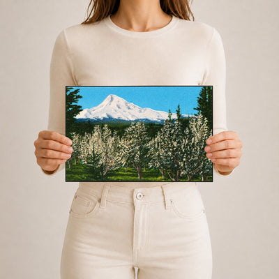 Hood, Mount, OR: Mount Hood