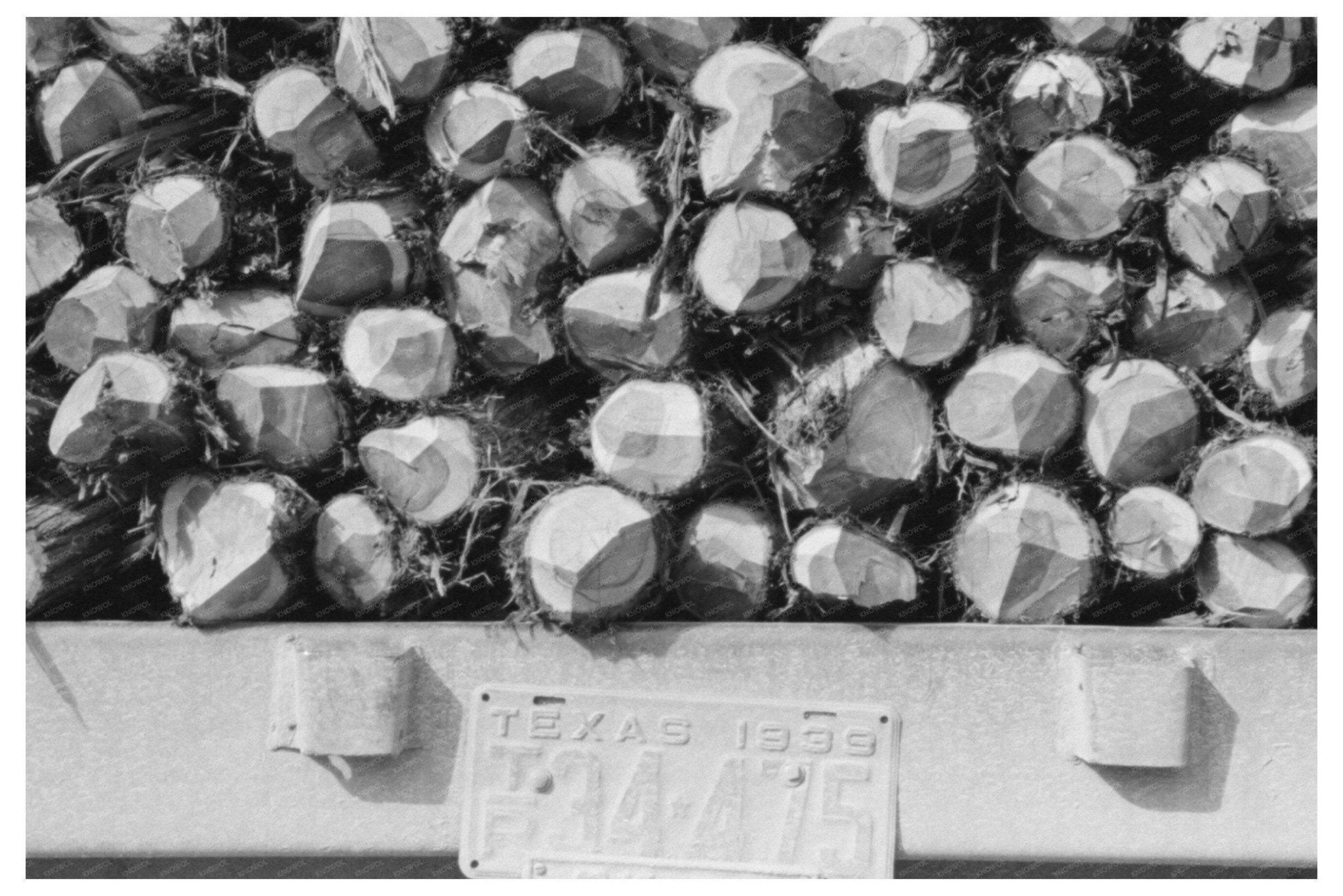 Cedar Fence Posts Loaded on Truck Clifton Texas 1939 - Available at KNOWOL